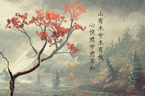 山有木兮木不知,探寻自然与生命的奥秘