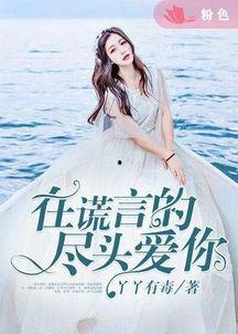 在谎言尽头爱你,一段真挚情感的救赎之旅