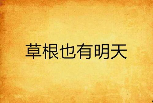 为了明天——一部关于草根创新者的纪录片,记录时代变革中的智慧火花