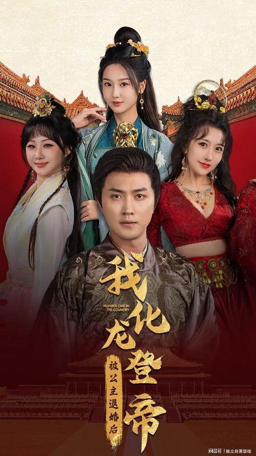 穿越古代被女帝倒追,女帝的倾世倒追之旅