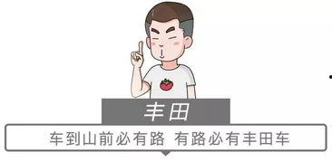 他能听到我的心2025,2025,倾听心跳的科技奇迹
